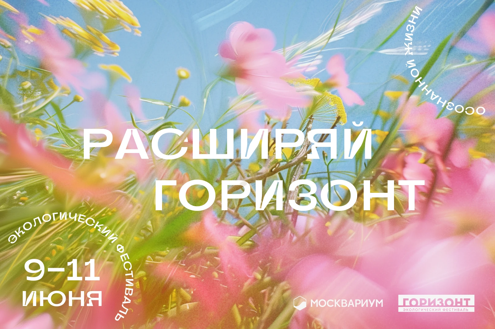 Кампании и key visuals — арт-дирекшн
