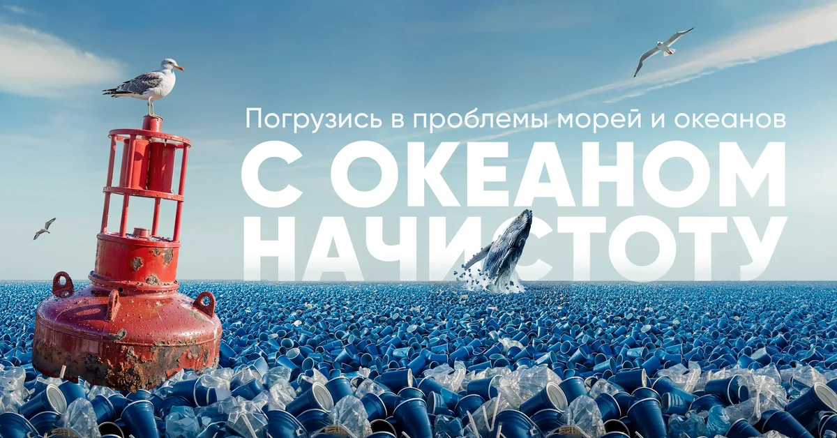 С океаном начистоту — WebAR-квест